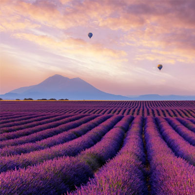 Provence